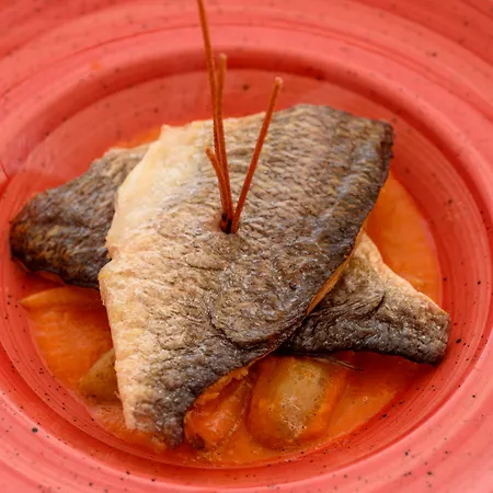 Pegasus & (adults Only)